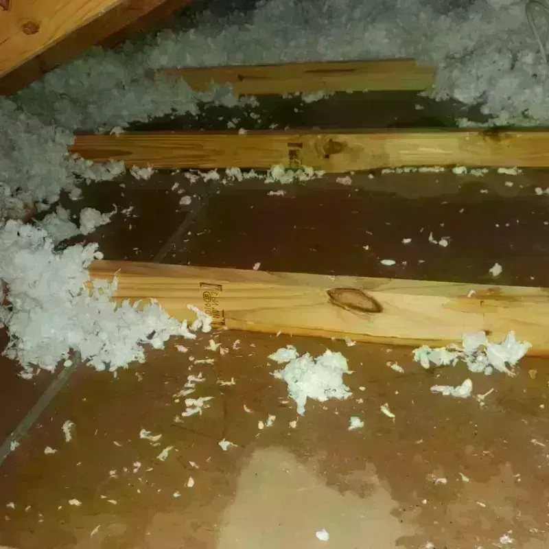 Attic Water Damage in Silverton, TX